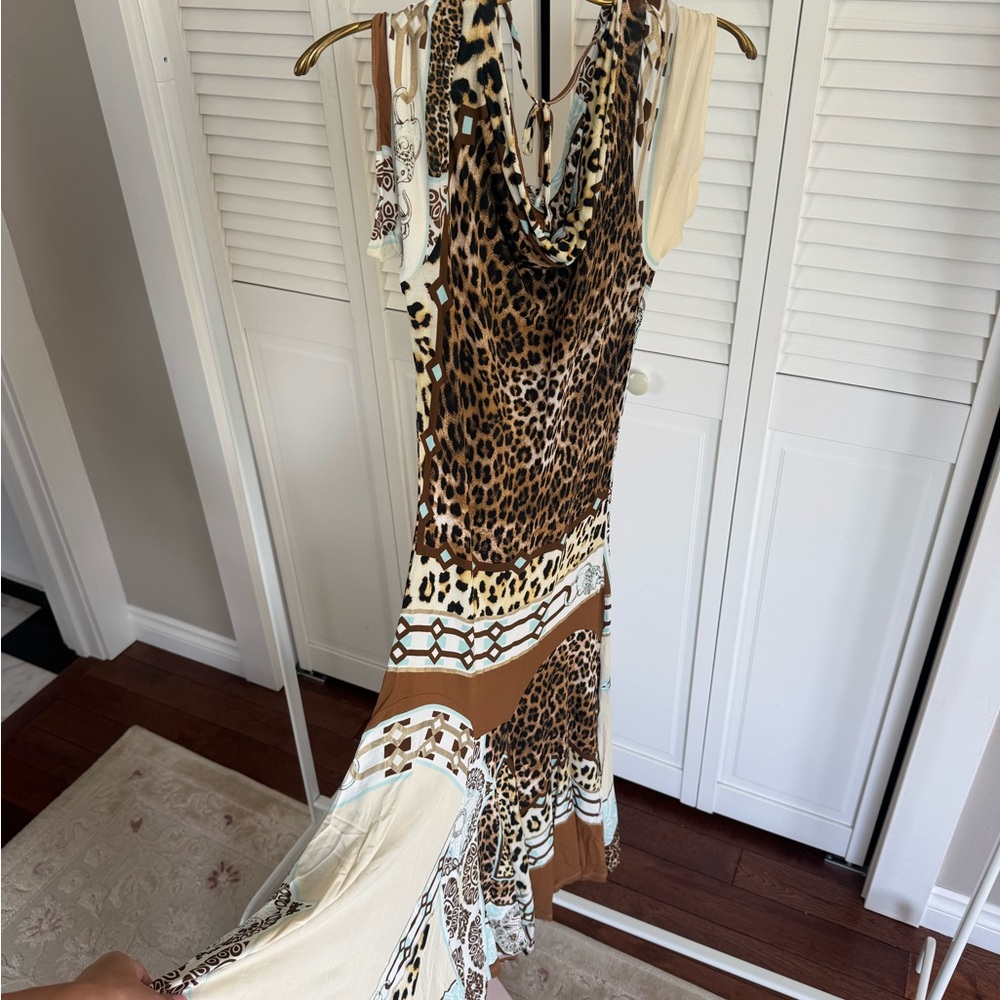 Roberto Cavalli Runway Maxi Dress